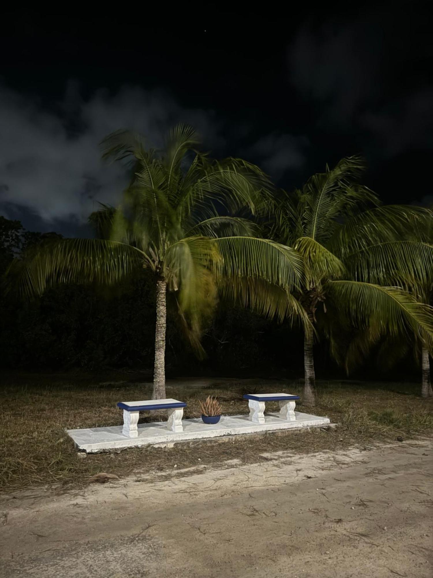 Caribbean Queen Cancún Eksteriør bilde